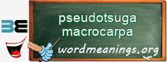 WordMeaning blackboard for pseudotsuga macrocarpa